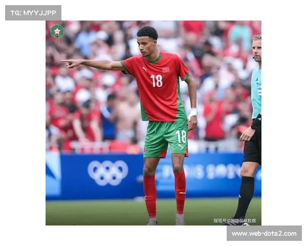 非洲区奥运资格赛前瞻:埃及与尼日利亚争夺男子自由式97公斤级最后入场券